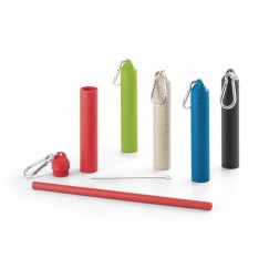 Conjunto de Canudo Telescópico de Fibra de Bambu Personalizado